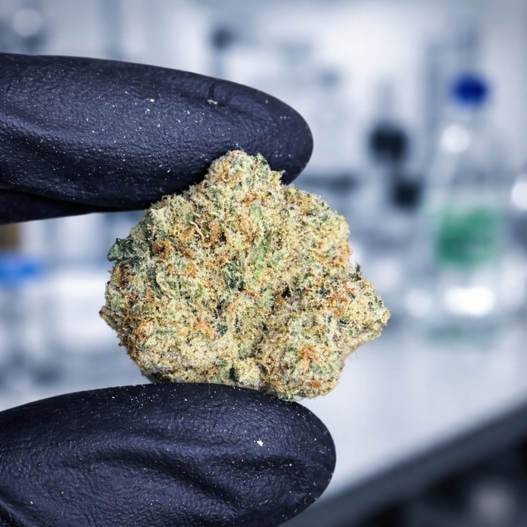 THC-X Květy Amnesia