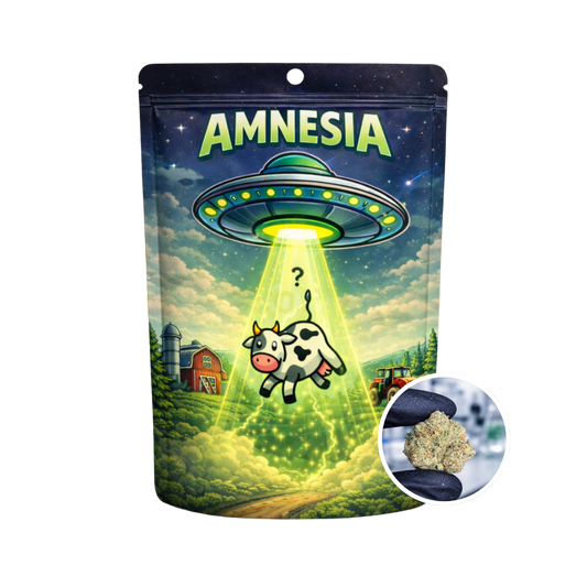 THC-X Květy Amnesia